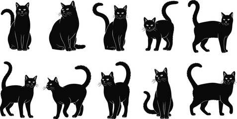 Cat silhouette vector illustration collection with diverse poses, tail positions, sleek feline artwork design, decorative black graphics, animal posture study © Hafeza