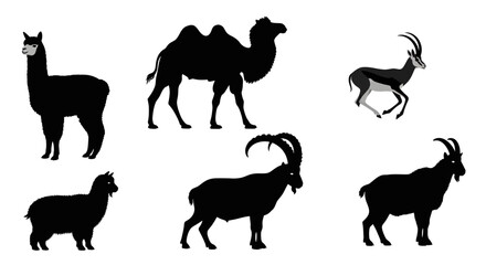 Fototapeta premium Black Silhouette Icons of Llama Camel Impala Goat and Sheep Animals.
