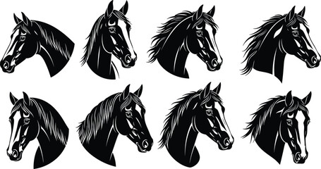 Horse head silhouette vector illustration collection with unique mane styles, detailed facial expressions, decorative equine artwork, black profile design © Momotaj