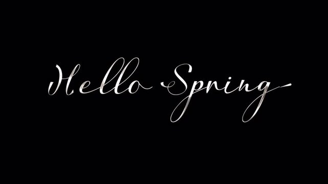 hello spring in silver lettering Calligraphic phrase  on black suitable for greeting cards, invitations, social media posts, and seasonal designs.