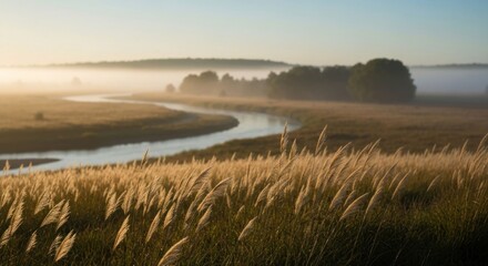 River flows through golden field, misty background