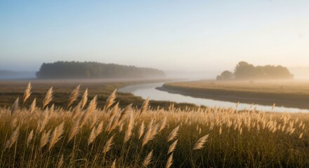 Serene river bend, reeds, and misty morning