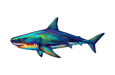 Fototapeta premium Colorful Pop Art Shark Illustration Isolated on White Background. Watercolor Print Design.