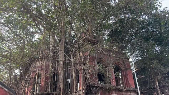 Ruins of an old Zamindar Palace covered with trees in Kolkata, India