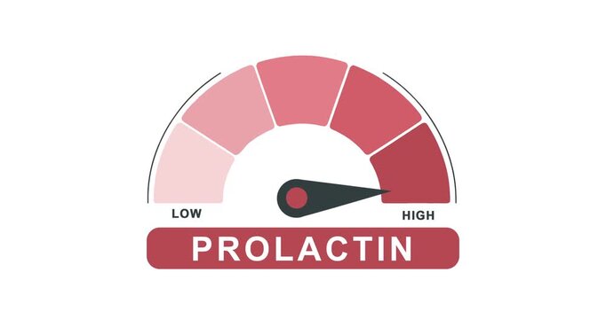 Prolactin Hormone Level Meter Gauge Animation Low to High Indicator