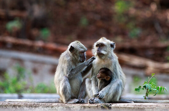 Loving each other does not only apply to fellow humans, but also to animals