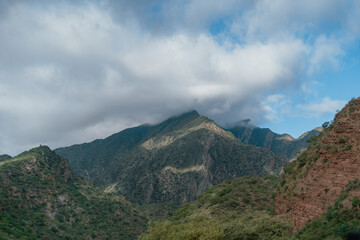 Fototapeta premium The mountains are covered in trees and the sky is cloudy