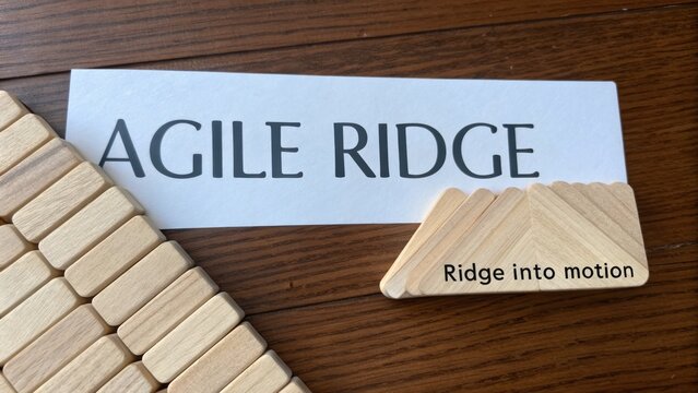Wooden blocks and paper text representing agile methodology in project management and business strategy for development