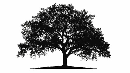 Fototapeta premium Silhouette of a majestic oak tree isolated on white background for design