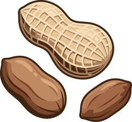 Obraz premium This illustration showcases raw peanuts, highlighting both their shells and the nutty goodness within, perfect for food-related designs or healthy lifestyle promotions.