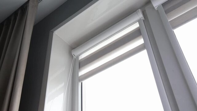 Close-up of window with contemporary zebra roller blinds providing versatile light filtering. Fabric layers alternate between opaque and sheer panels, offering privacy and brightness adjustment for ro