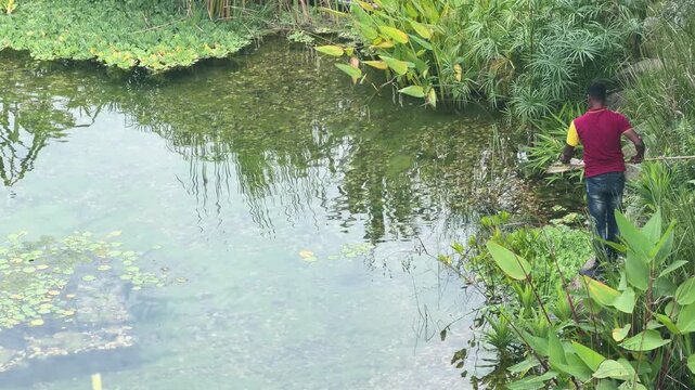 Maintenance Worker Cleaning Tropical Pond at Singapore Zoo
