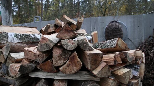 Person hand selecting split logs from large stack of chopped firewood. Preparation of wood fuel for home heating during cold winter season. Rustic outdoor environment with trees.