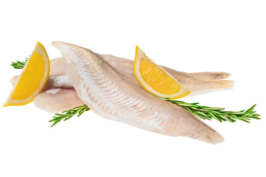 Fresh fish fillets with lemon slices and herbs isolated