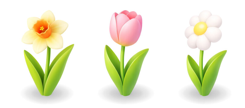 Daffodil, tulip and daisy flowers. Spring 3D vector illustration set isolated on white background