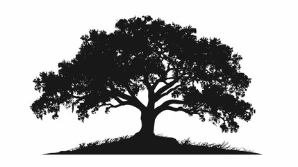 Fototapeta premium Silhouette of a large oak tree against a bright white background