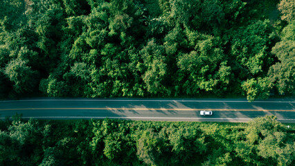 Natural forest road background symbolizing low carbon economy and responsible corporate strategy. © Hand Robot