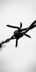Fototapeta premium Barbed wire detail creating confinement and division concepts