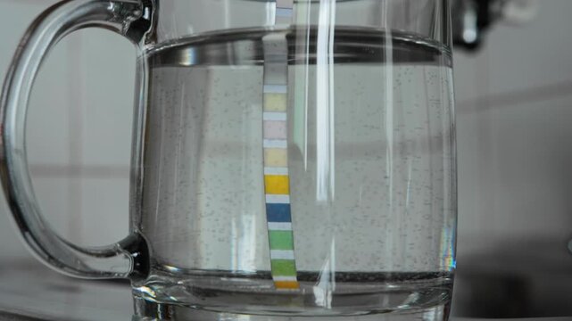 Close-up simple test strip immersed in clear tap water inside glass pitcher. Home water quality analysis for household consumption. pH level, hardness, alkalinity, chlorine, nitrites, nitrates, lead, 