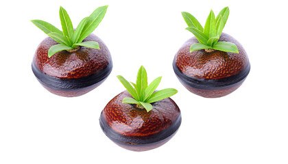 Three round fruits with green sprouts, a black band, against black