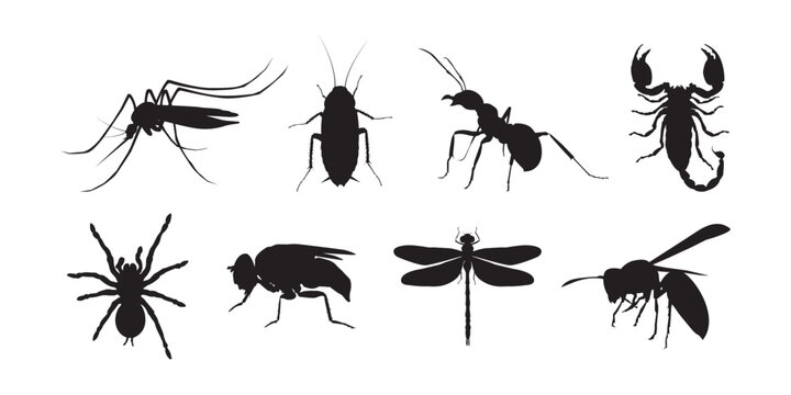 Vector illustration of insect and spider silhouette set featuring mosquitoes, ants, spiders, scorpions and flying insects.
