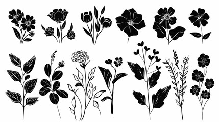 Black and white floral illustrations vector set of decorative botanical elements