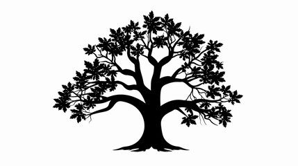 Obraz premium Silhouette of a majestic tree with lush foliage against a white background