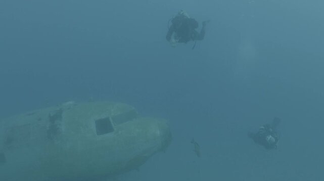 log footage of scuba divers are exploring a c47 dakota airplane wreck underwater 