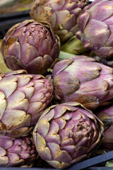 Fototapeta premium fresh purple artichokes closeup market display 