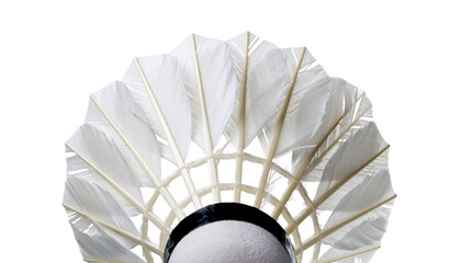 Close-up of a shuttlecock, white feathers in a radial pattern on black