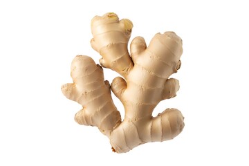 Fresh ginger root on white background