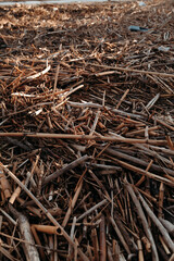 Plastic Pollution on Beach at Sunset &ndash; Environmental Damage and Climate Change Concept