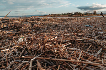 Plastic Pollution on Beach at Sunset &ndash; Environmental Damage and Climate Change Concept