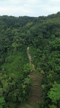 Vertical aerial shot of Penawangan Waterfall in Bantul, Yogyakarta, revealing a dramatic limestone cascade embraced by lush green tropical forest.