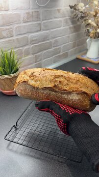 Woman in heat resistant gloves holds hot homemade bread in hands and twists it. Homemade artisan country sourdough bread baked in a home kitchen. Healthy baking lifestyle, handmade food for family, 
