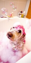 Dog enjoying pink bubble bath for grooming and cleaning