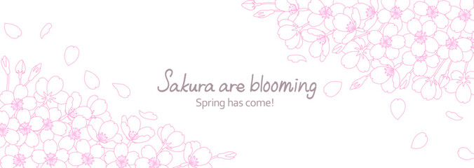 白地に繊細な線で描いた桜の花のフレームイラスト