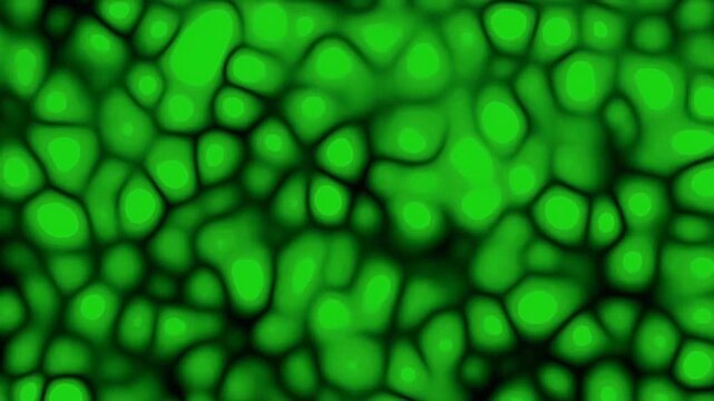 Vibrant, glowing abstract green pattern resembling biological cells or a futuristic network, creating a dynamic and organic background texture