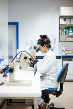 Scientist examining samples with microscope in laboratory