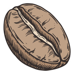 Detailed Single Coffee Bean Illustration