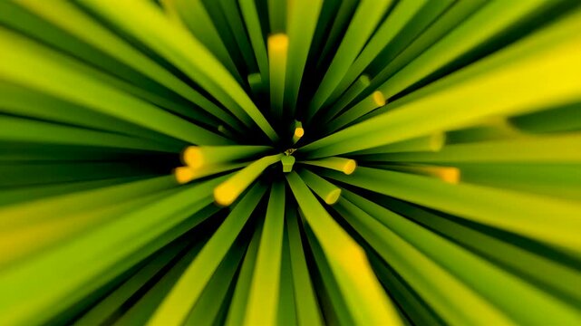 Abstract Green Radial Burst with Dynamic Light Streaks and Vibrant Motion Effect on Dark Background