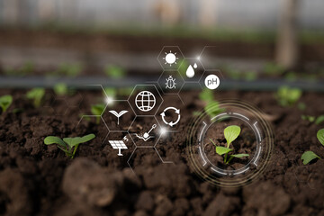 Smart agriculture technology monitoring seedling growth with data icons for sustainable farming, Organic Digital Background