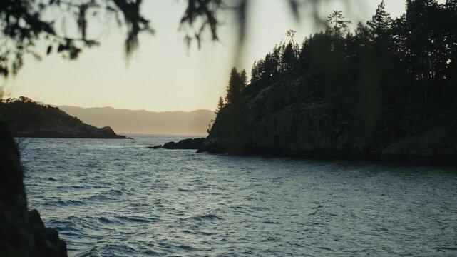 Nature Silhouettes At Sunrise Within East Sooke Park In British Columbia, Canada. Static Shot