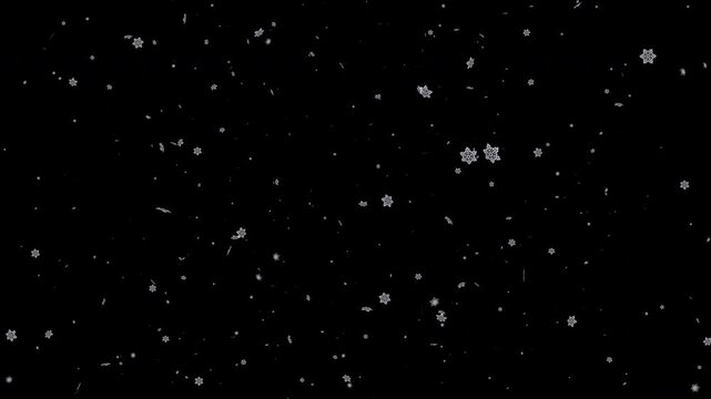 Fall leaves winter snow particle loop