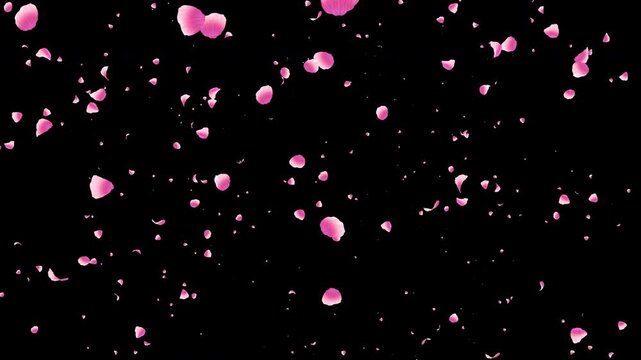 Fall leaves spring particle loop.sakura cherry blossom