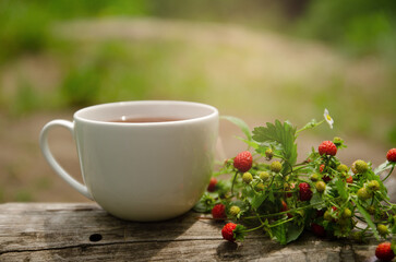Cup of tea and bouquet of fresh wild strawberries on log in forest, nature background