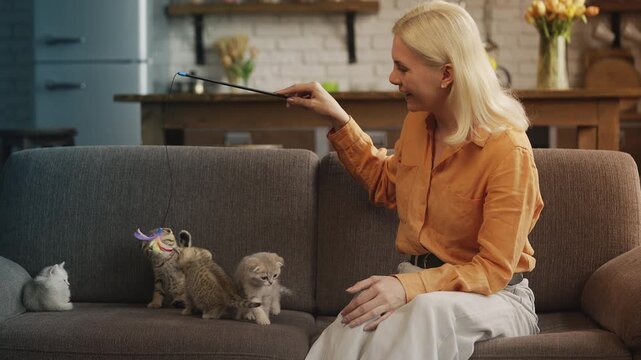 Happy woman playing with cute purebred kittens on sofa using feather pet toy