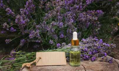 Lavender essential oil bottle with pipette and blank tag on lavender flowers background.