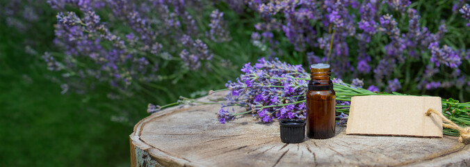 Lavender essential oil bottle with pipette and blank tag on lavender flowers background.