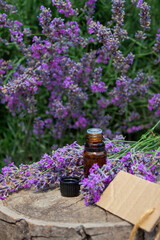 Lavender essential oil bottle with pipette and blank tag on lavender flowers background.